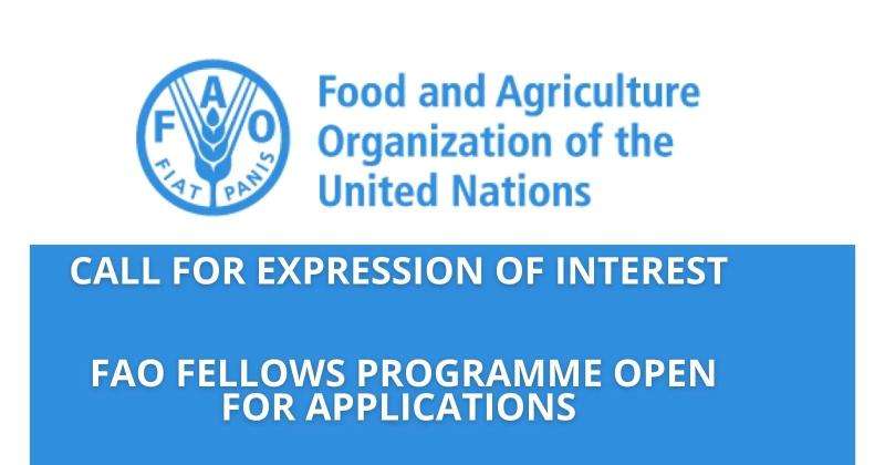 Apply to join the United Nations Food and Agriculture Organization Fellows Programme(Open to several nationalities)