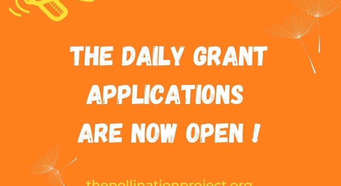 Apply Now for The Pollination Project’s $1,000 Daily Grant for Changemakers