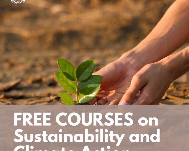 FREE courses on Environmental Sustainability and Climate Action (From UN SDG:Learn)