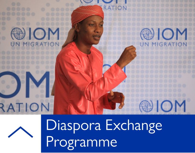 Diaspora Exchange Programme: Contribute to Development in Ethiopia, Kenya, Somalia, and Uganda