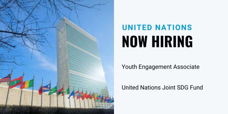 Youth Engagement Associate at UNDP/MPTFO