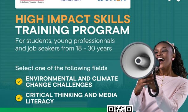 High Impact Skills Training Program – Edition 2024 – by TW Cameroon