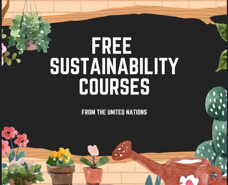 FREE Sustainability courses from the United Nations 2023-2024