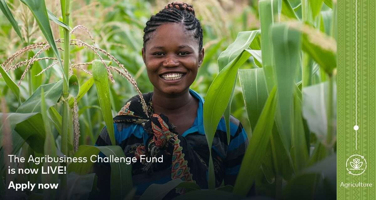 Apply Now: Mastercard Foundation Fund for Resilience and Prosperity Agribusiness Challenge Fund – Opportunity for African SMEs