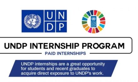 UNDP Paid Internship Program 2024