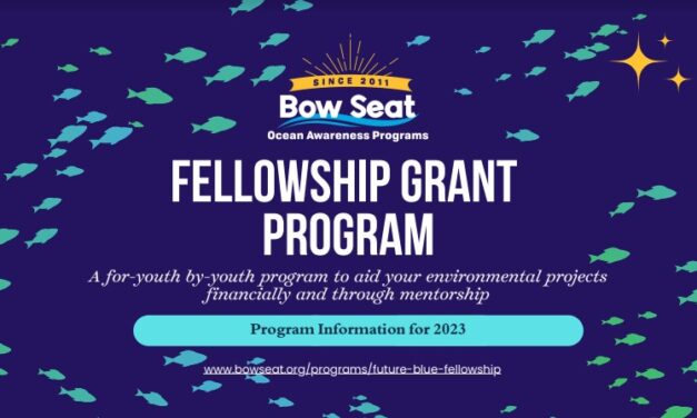 Bow Seat’s Fellowship Grant Program 2023(Receive mentorship and $2,500 USD grant)