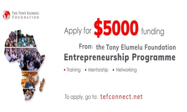 Apply for the Tony Elumelu Entrepreneurship Program for African Entrepreneurs ($5,000 seed capital, business training, access to networks, and mentorship)