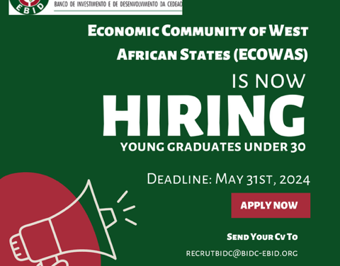 The ECOWAS Bank for Investment and Development (EBID) Young Graduates Program 2024/2025(Fully-funded for Africans)