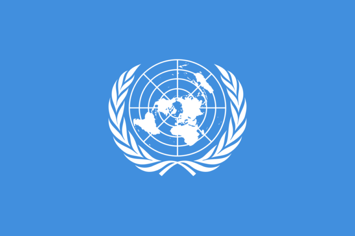 How To Apply for a United Nations Junior Professional Officer position